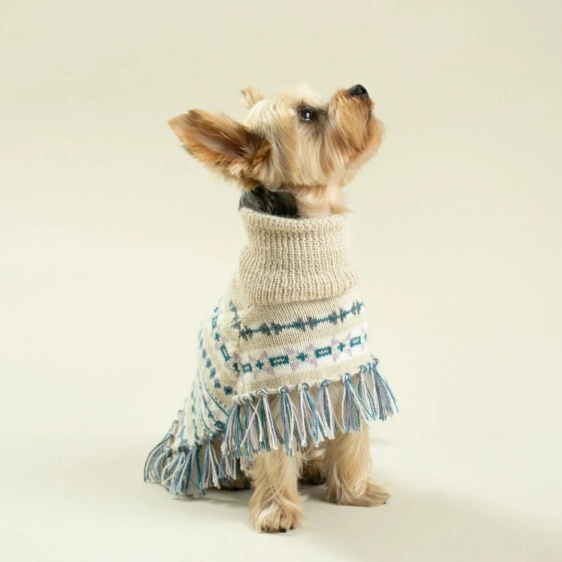 Alqo Wasi - Serendipity Alpaca Dog Poncho