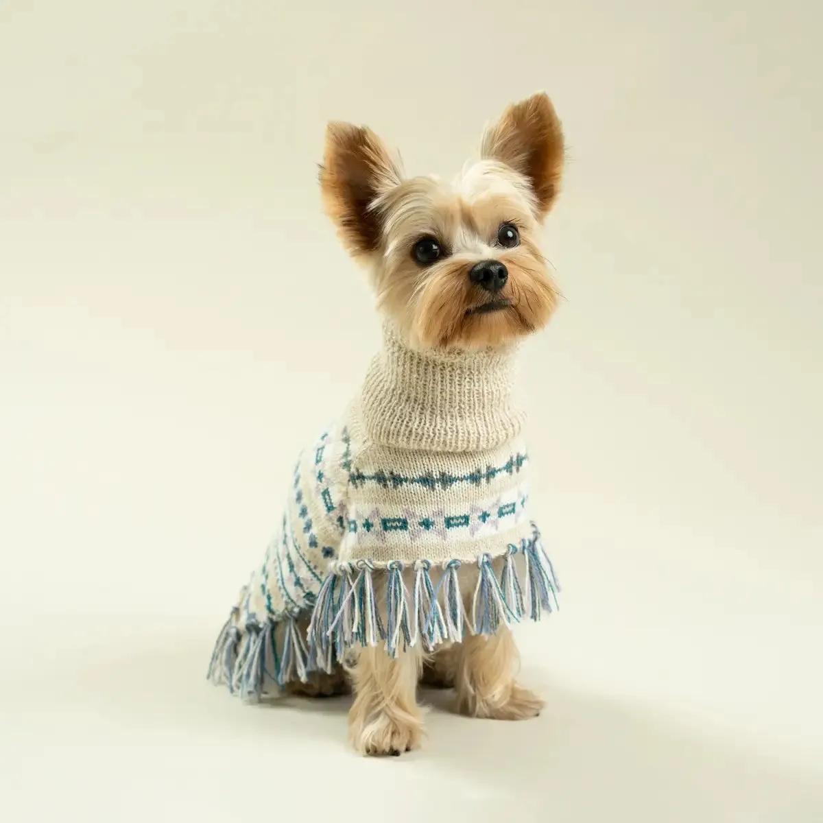 Alqo Wasi - Serendipity Alpaca Dog Poncho