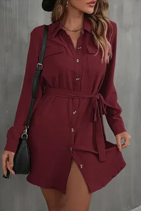 BUTTON DOWN DANDY SHIRTS DRESS