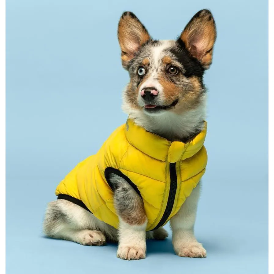 Fabdog | Yellow & Grey - 'Pack N' Go' Reversible Dog Puffer Jacket