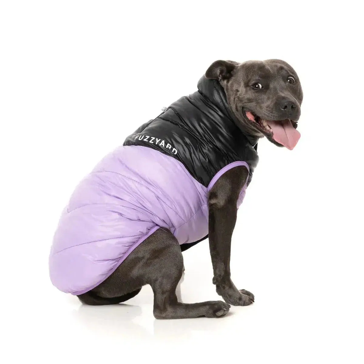 FuzzYard | South Harlem Dog Puffer Jacket - Lilac