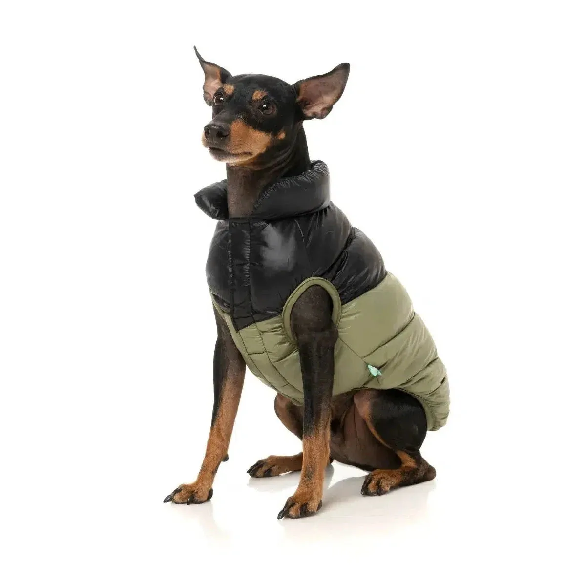 FuzzYard | South Harlem Dog Puffer Jacket - Olive