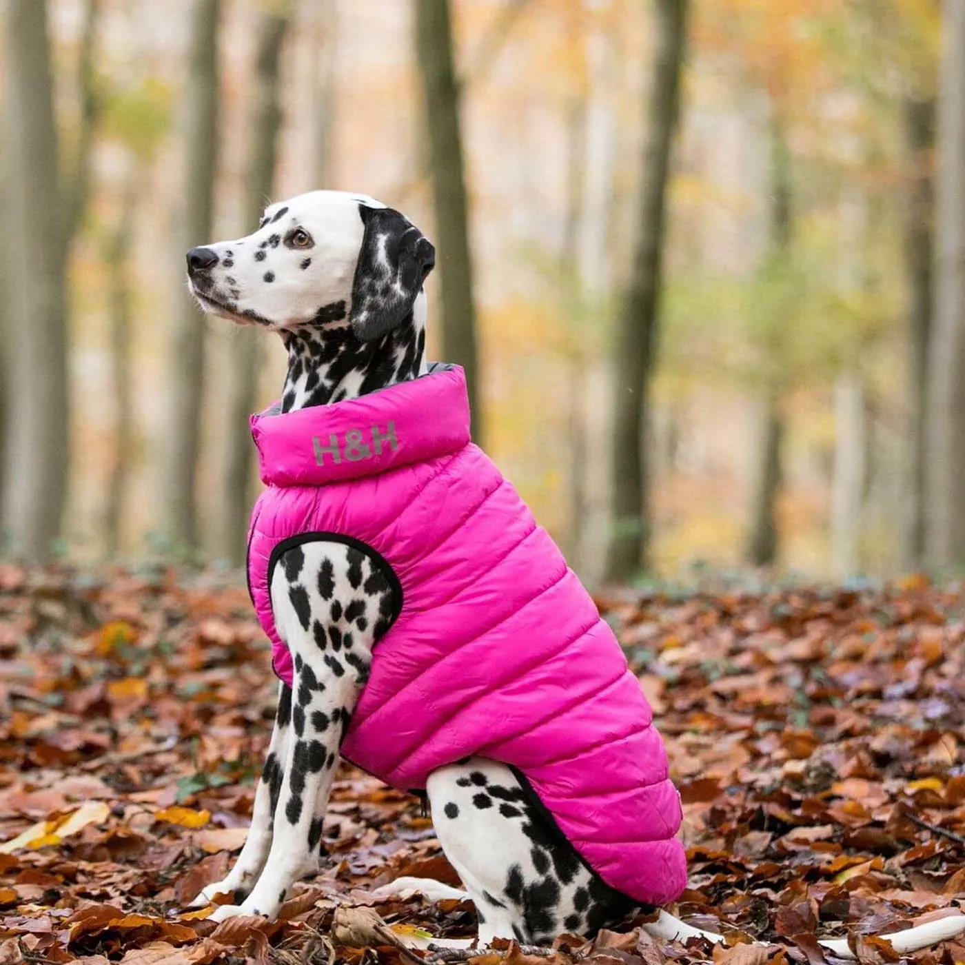 Hugo & Hudson Reversible Pink & Grey Puffer Jacket